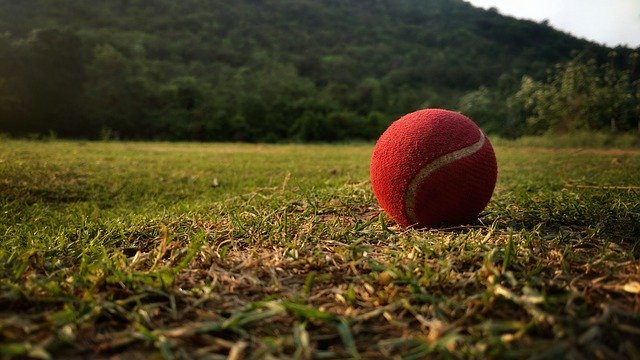 my favorite game cricket essay