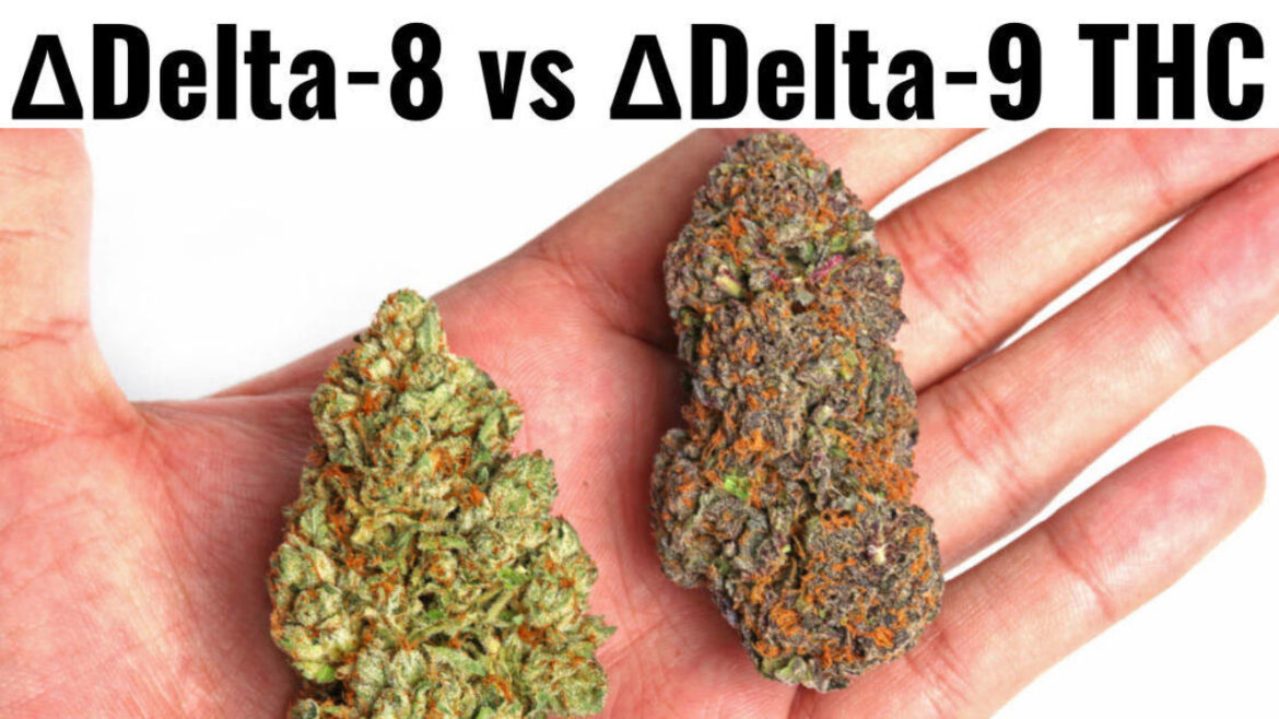 What Is The Difference Between Delta 8 THC and Delta 9 THC?