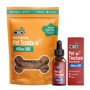 Innovative CBD Products to Improve your Dog’s Health