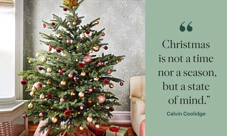 Christmas Quotes